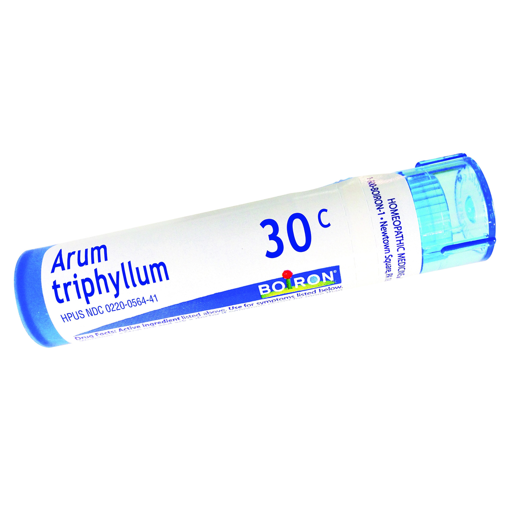 Arum Triphyllum product image