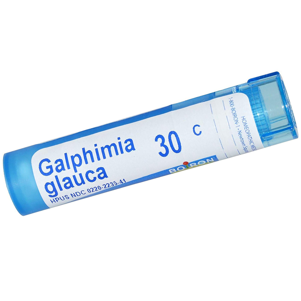 Galphimia Glauca product image