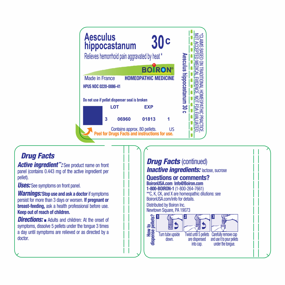 Product image for Aesculus hippocastanum 30c.