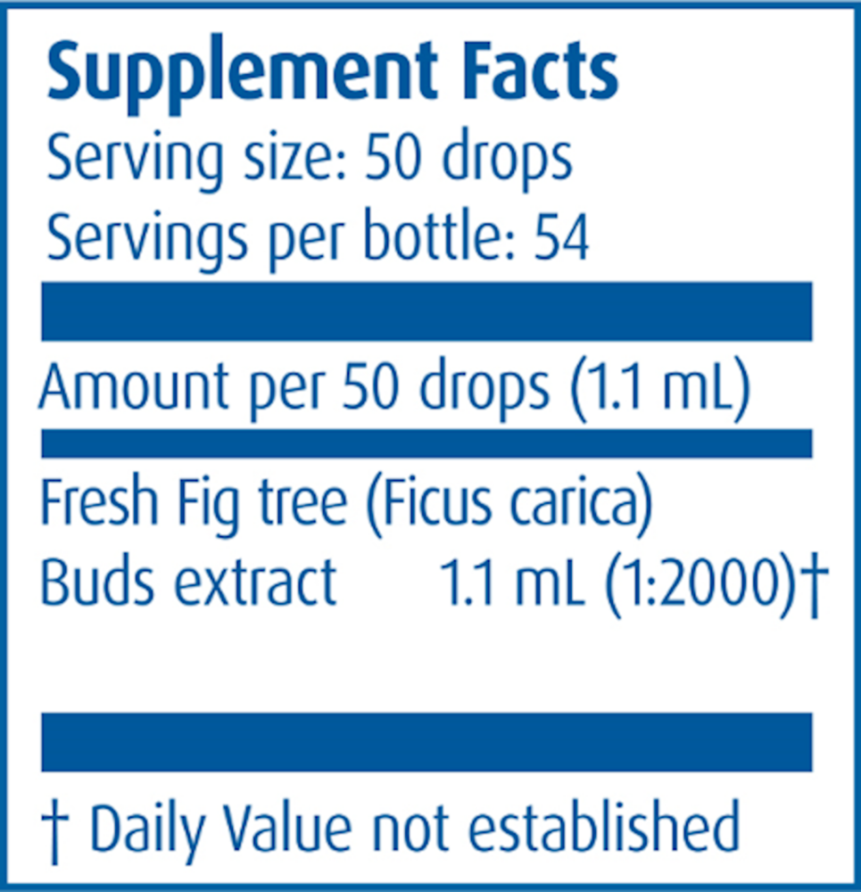 Product image for Gemmo Fig Tree Buds.