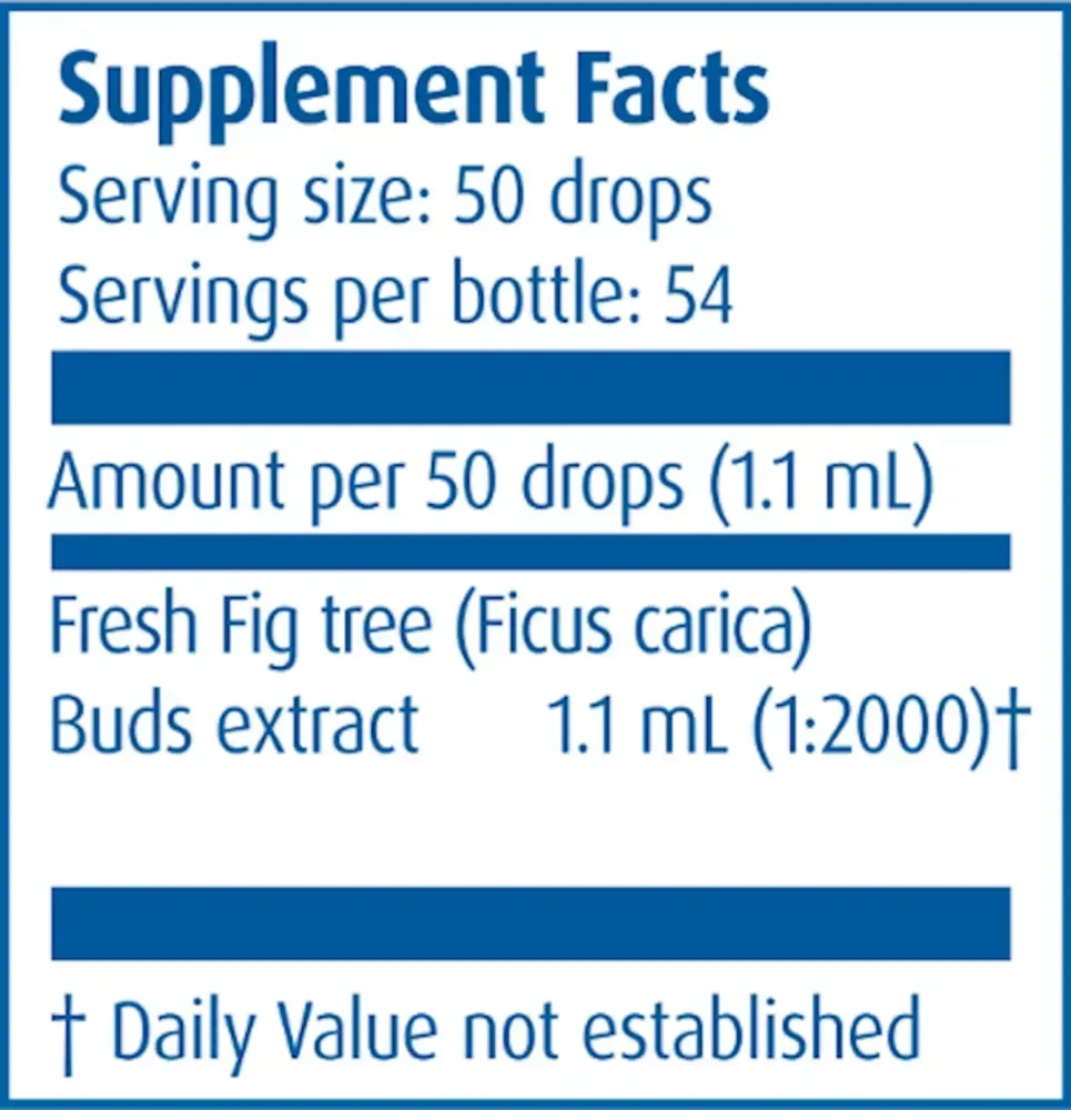 Product image for Gemmo Fig Tree Buds.