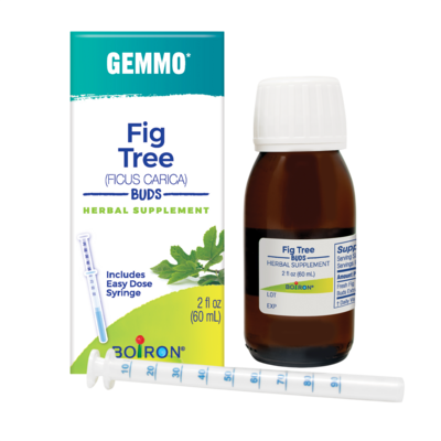 Gemmo Fig Tree Buds 60 Milliliters