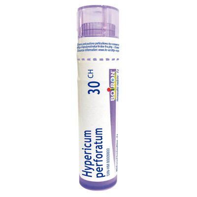 Hypericum perforatum product image