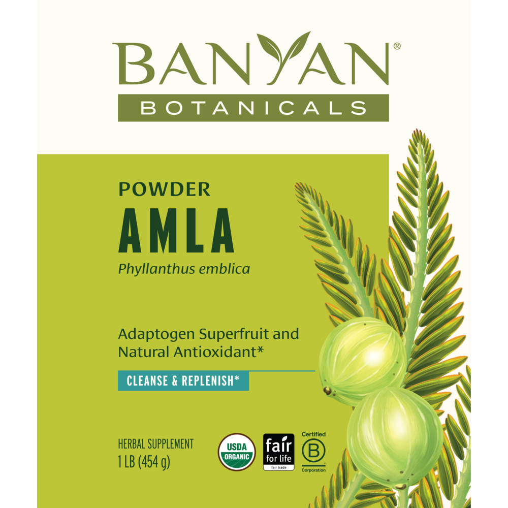 Product image for Amalaki Fruit Powder, Organic.
