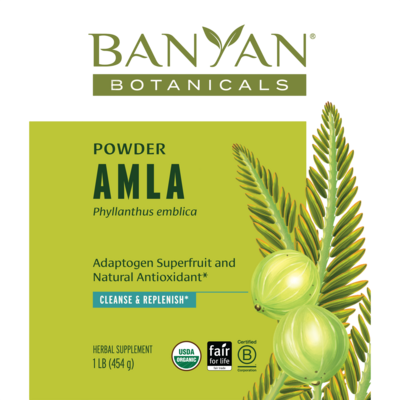Amalaki Fruit Powder, Organic 454 Grams