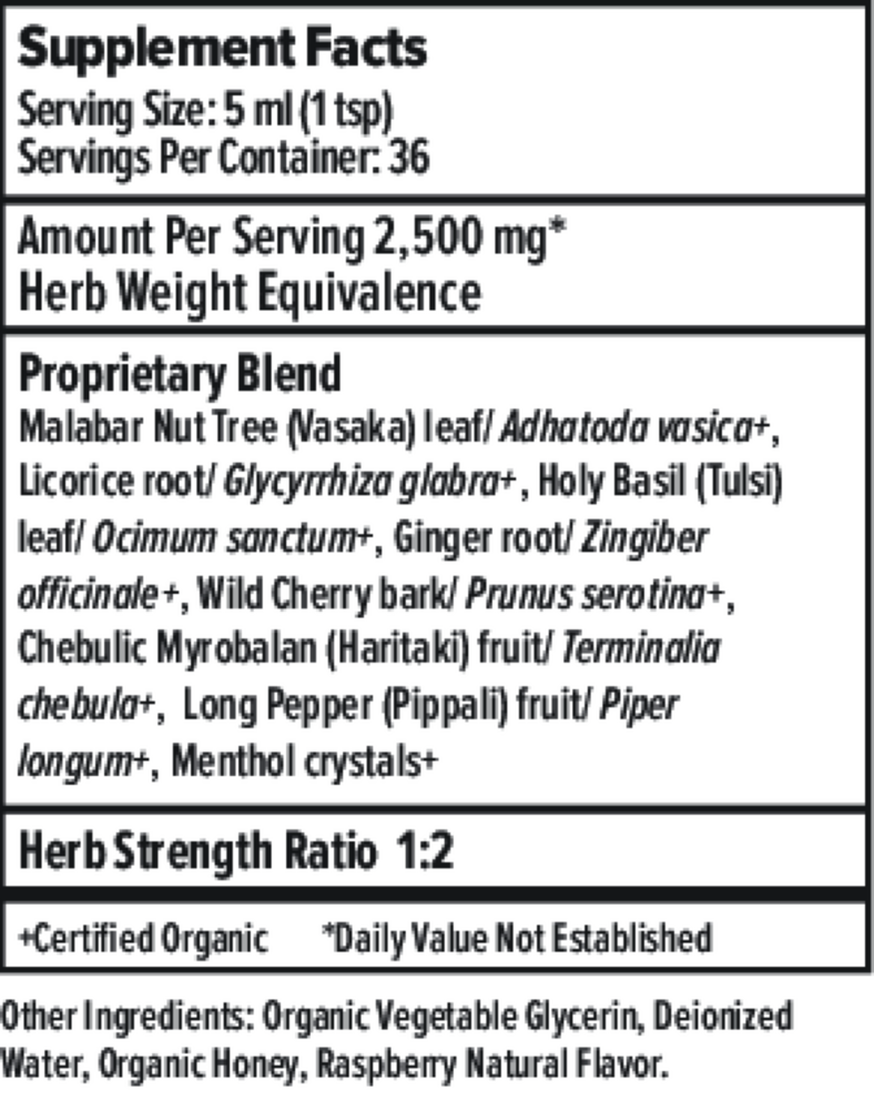 Product image for Bronchial Support Herbal Syrup.