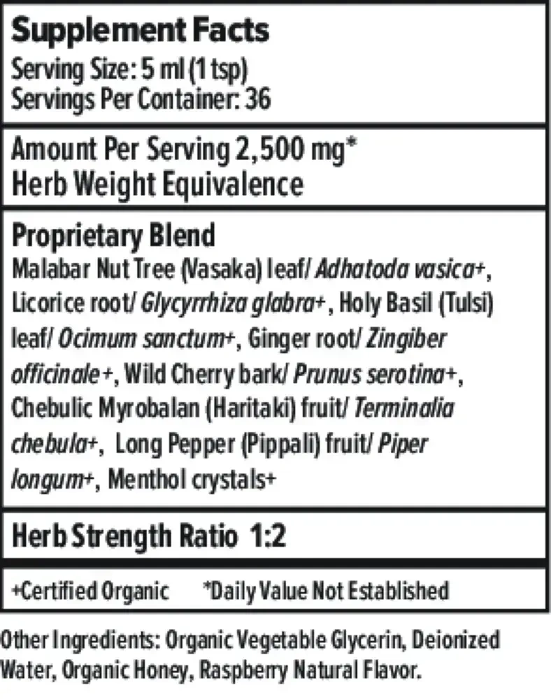 Product image for Bronchial Support Herbal Syrup.