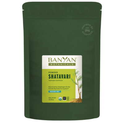 Shatavari Root Powder, Organic 454 Grams