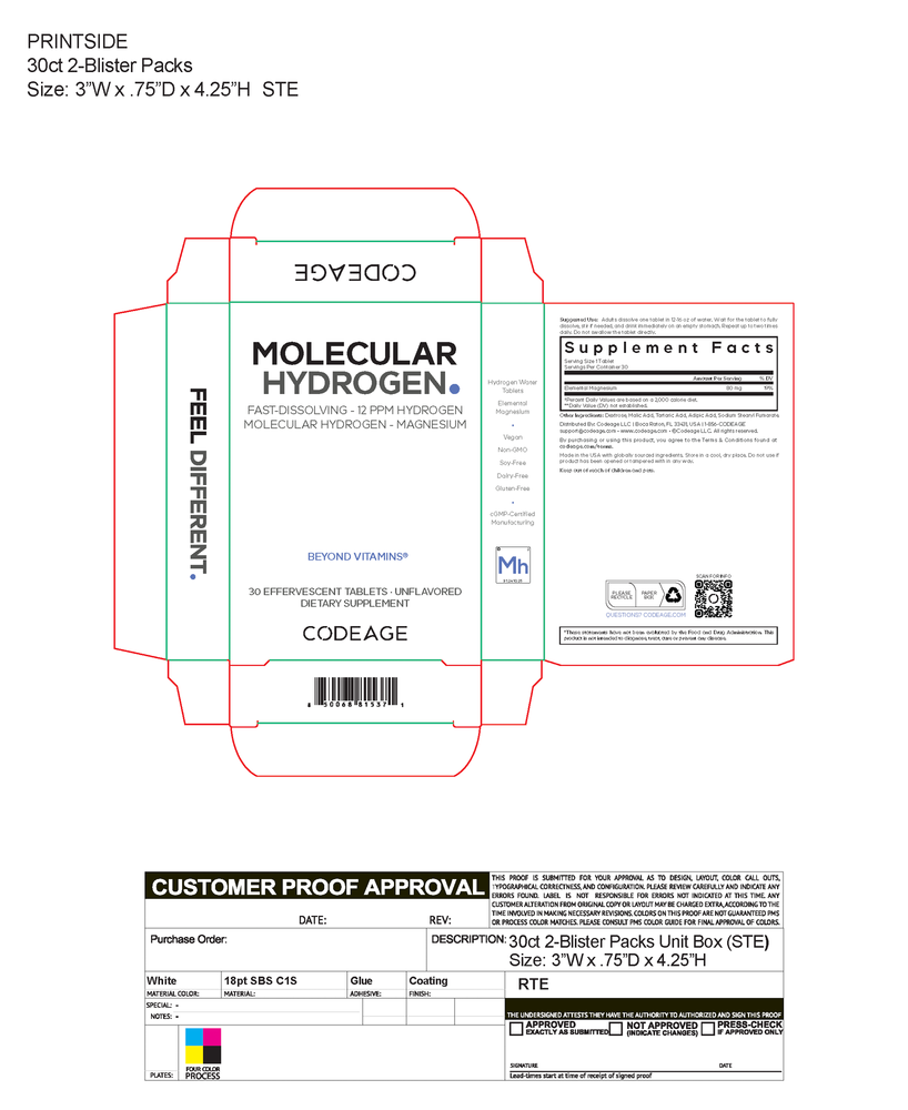 Product image for Molecular Hydrogen.