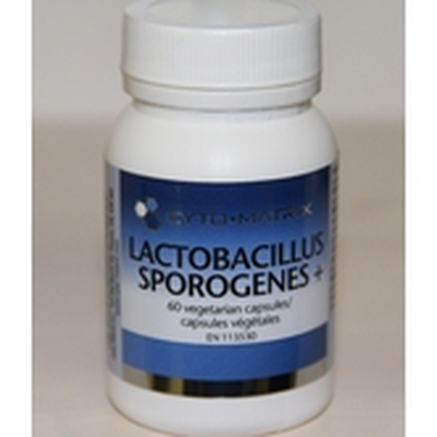 Lactobacillus Sporogenes product image
