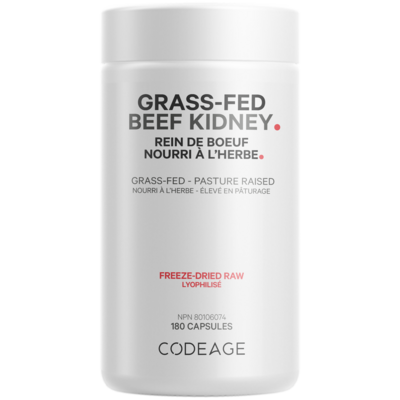 Beef Kidney