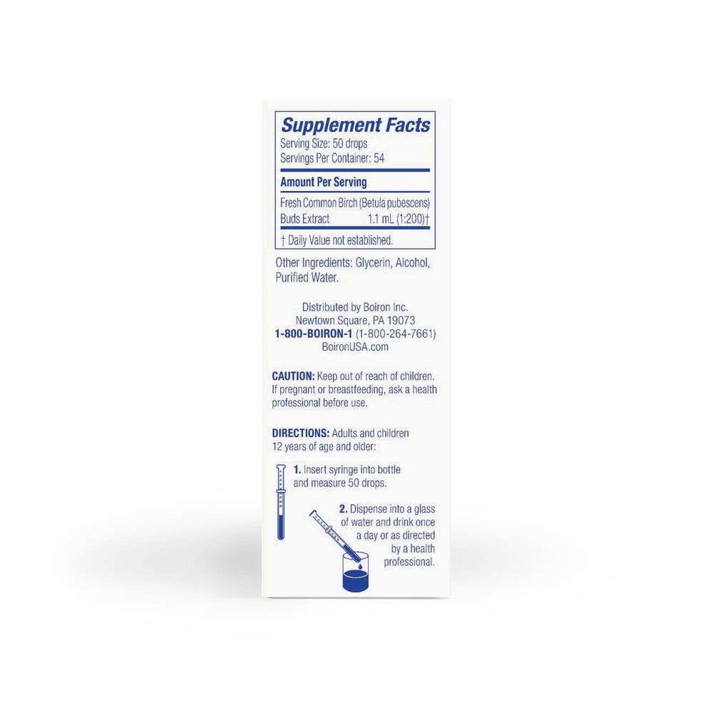 Product image for Common Birch/Betula Pubescens.