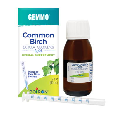 Common Birch/Betula Pubescens