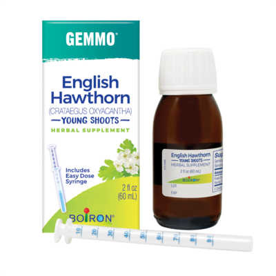 English Hawthorne/Crataegus Oxyacantha
