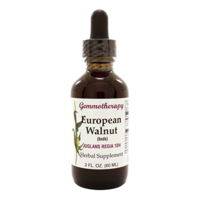 European Walnut/Juglans Regia