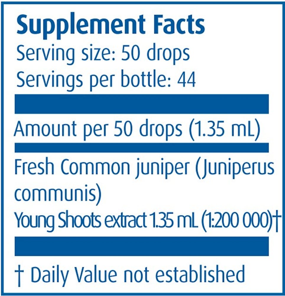 Product image for Common Juniper/Juniperus Communis.