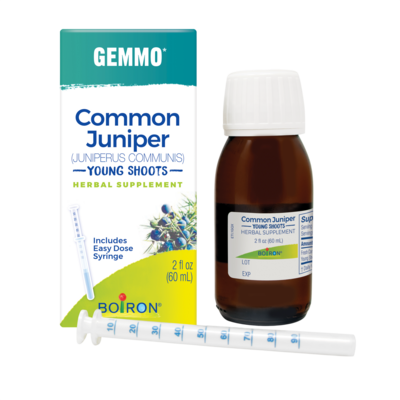 Common Juniper/Juniperus Communis