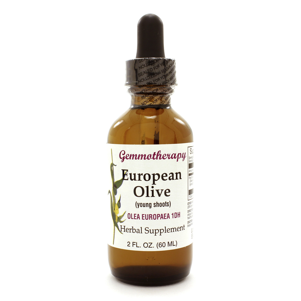 European Olive/Olea Europaea product image