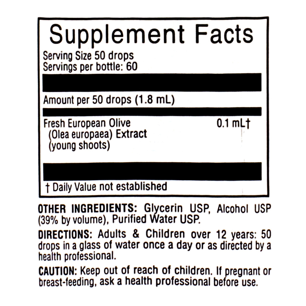 Product image for European Olive/Olea Europaea .