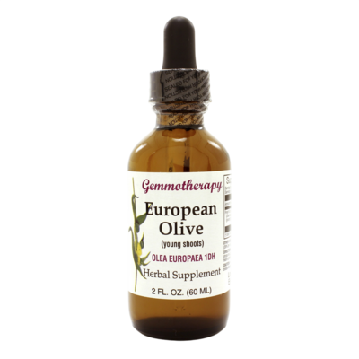 European Olive/Olea Europaea  60 Milliliters