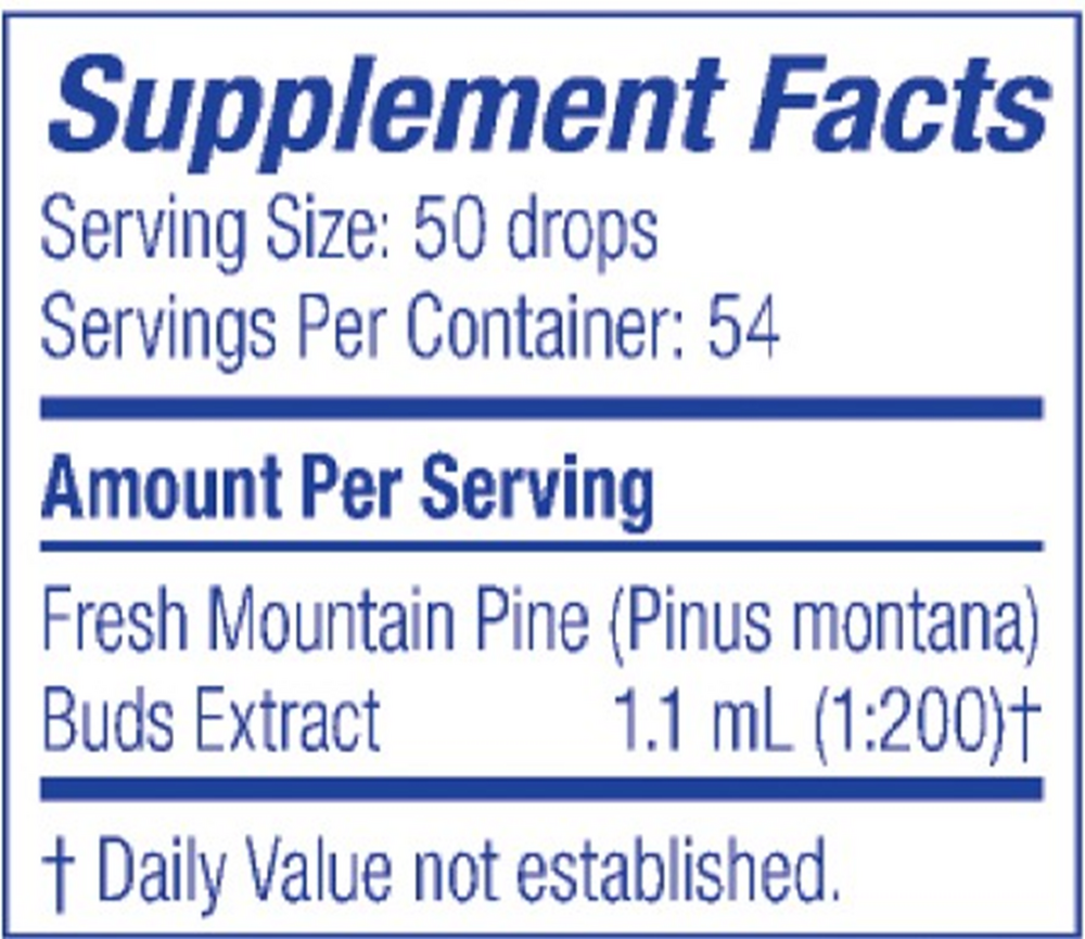 Product image for Mountain Pine/Pinus Montana.