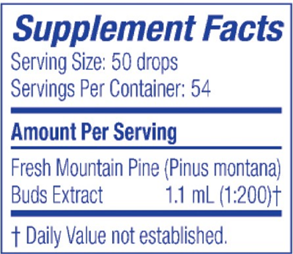 Product image for Mountain Pine/Pinus Montana.