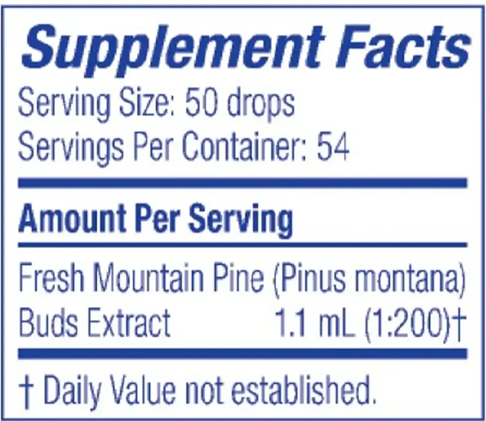 Product image for Mountain Pine/Pinus Montana.