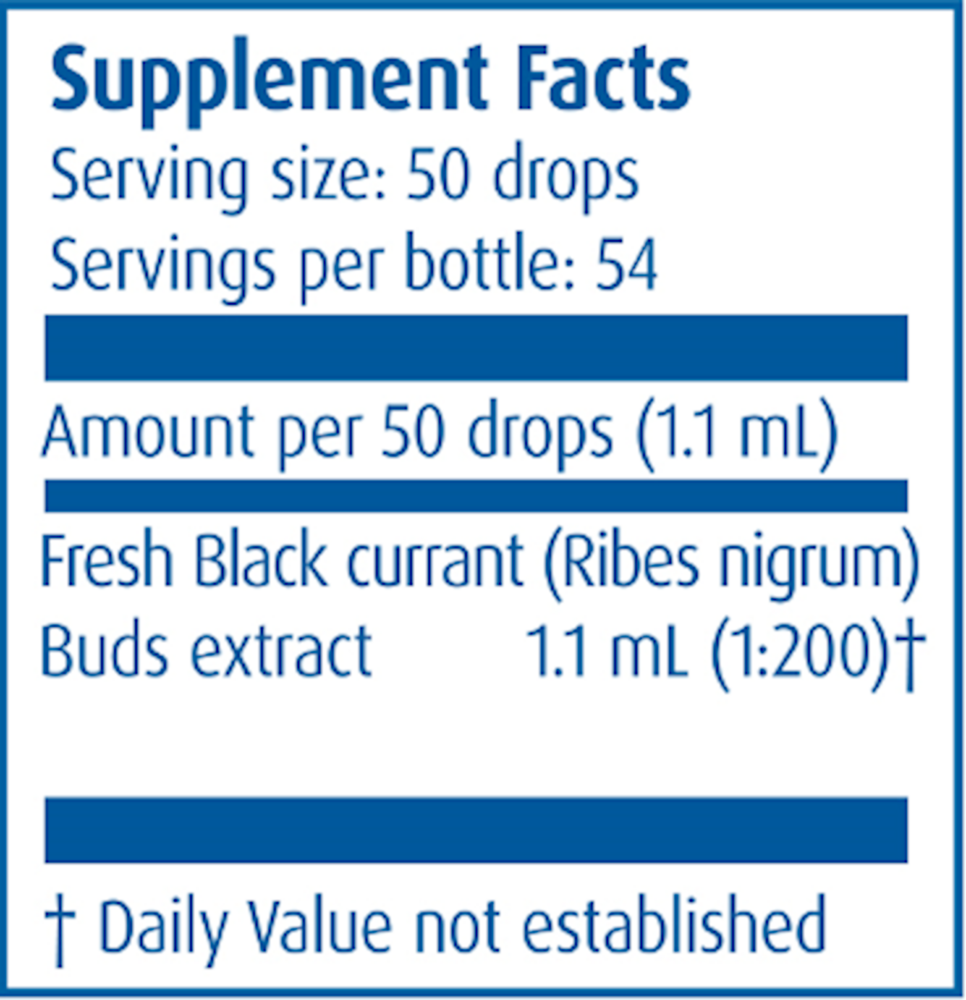 Product image for Black Currant/Ribus nigrum.