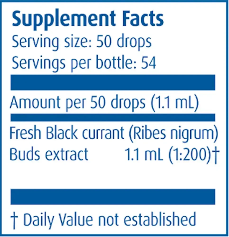 Product image for Black Currant/Ribus nigrum.
