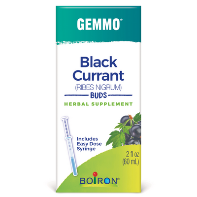 Black Currant/Ribus nigrum product image