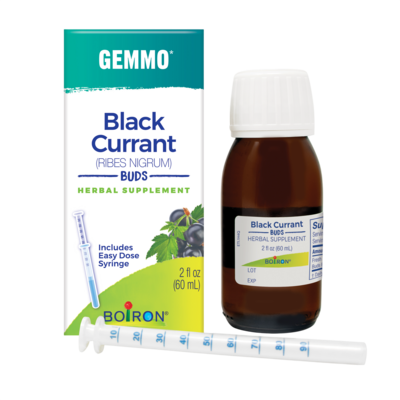 Black Currant/Ribus nigrum