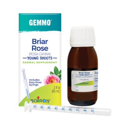 Briar Rose/Rosa Canina (60 Milliliters) Product image for Briar Rose/Rosa Canina (60 Milliliters).