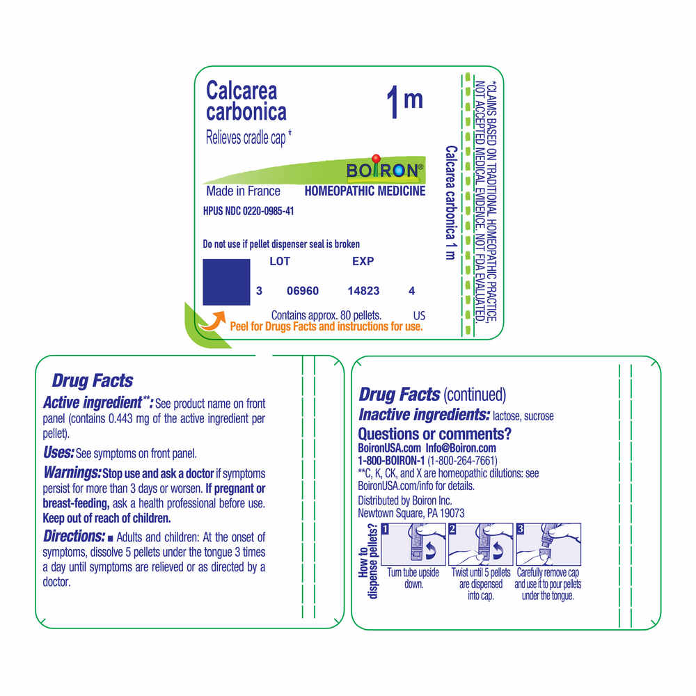 Product image for Calcarea Carbonica 1m.