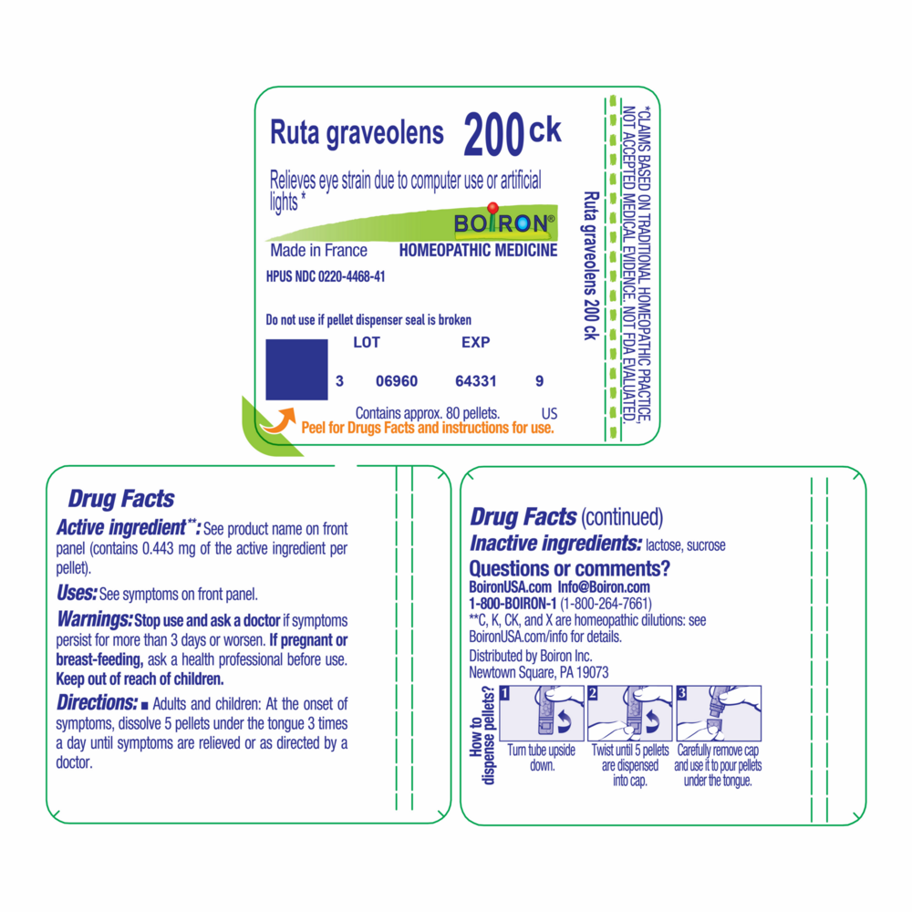 Product image for Ruta Graveolens 200ck.