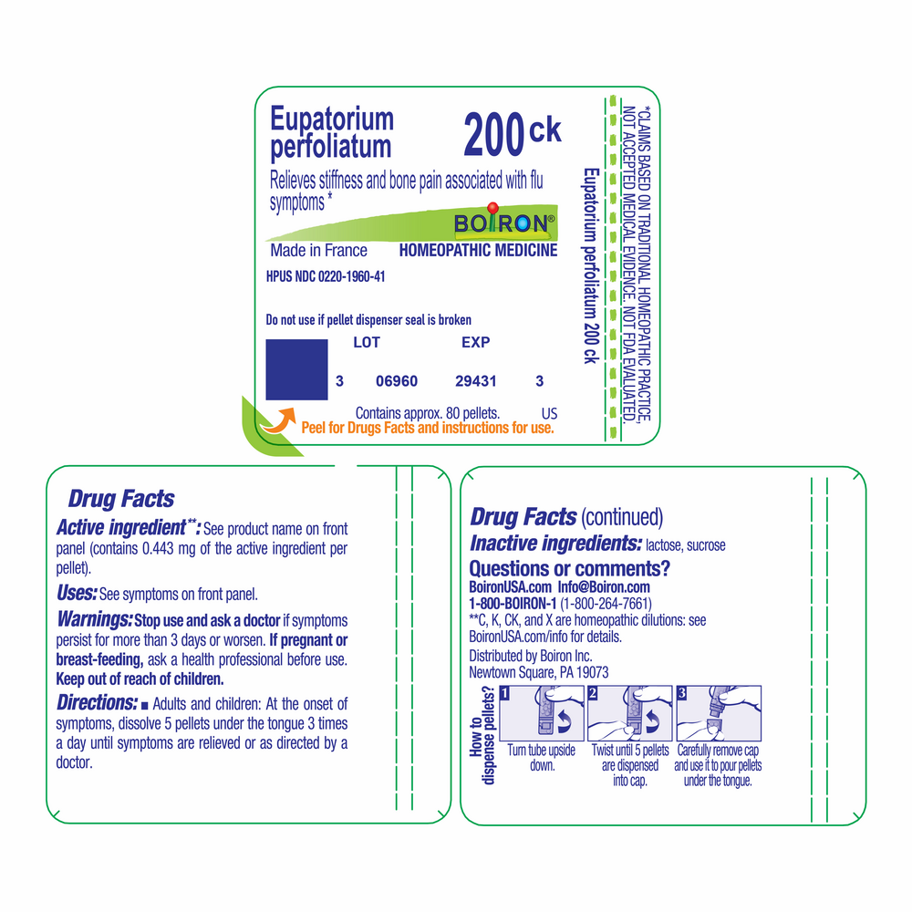 Product image for Eupatorium Perfoliatum 200ck.