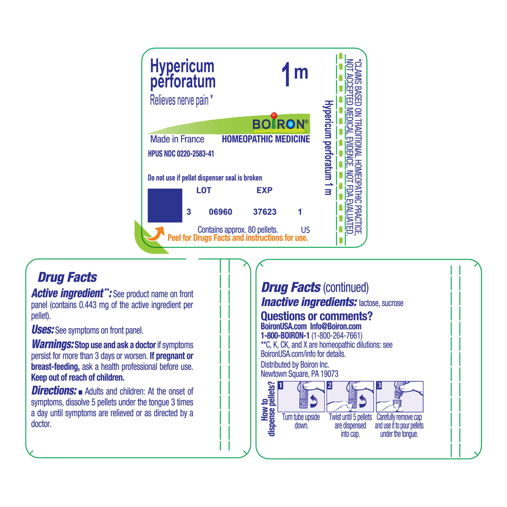 Product image for Hypericum Perforatum 1m.