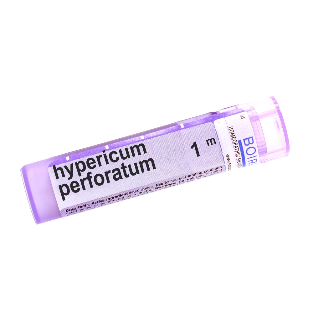 Hypericum Perforatum 1m product image
