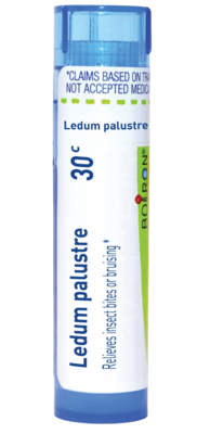 Ledum Palustre 30c 80 pellets