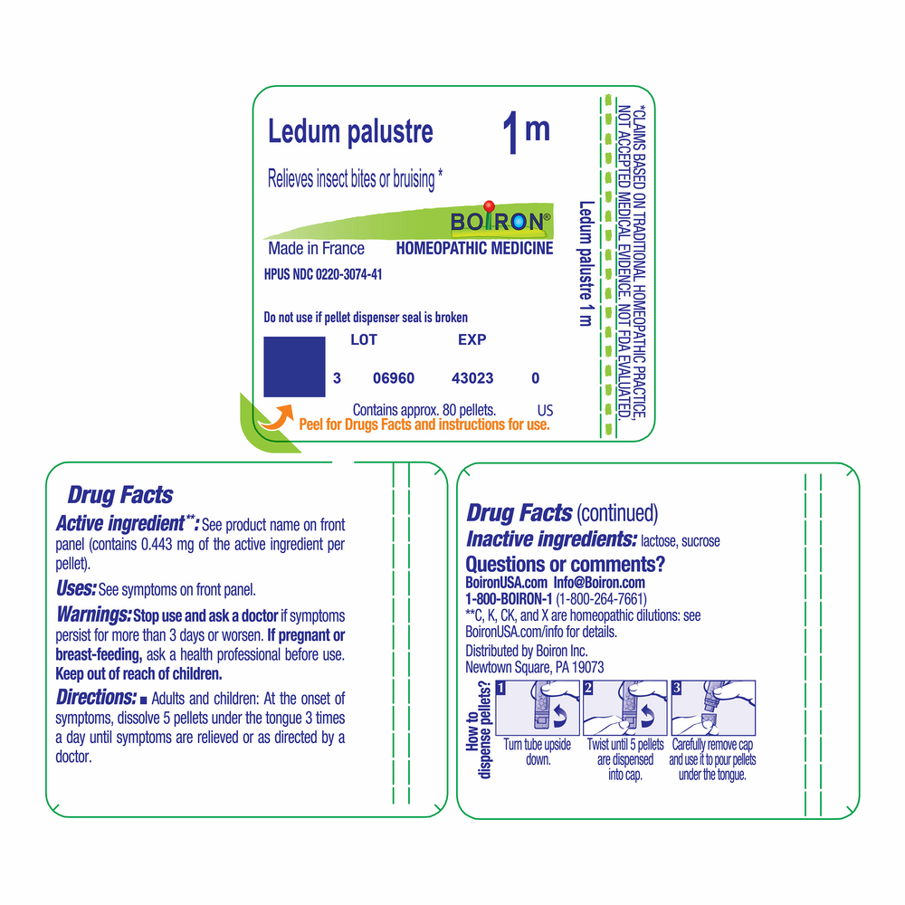 Product image for Ledum Palustre 1m.