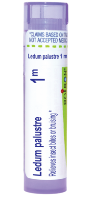 Ledum Palustre 1m 80 pellets