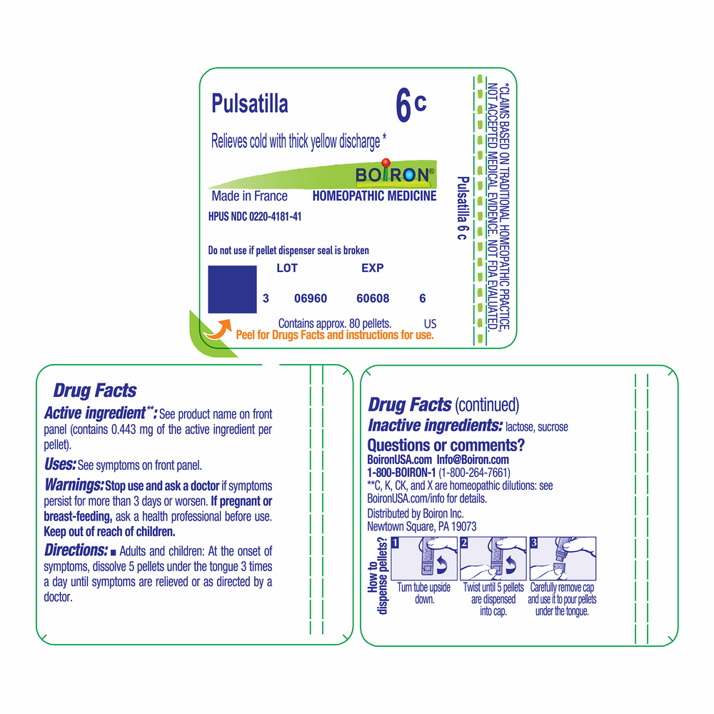 Product image for Pulsatilla 6c.