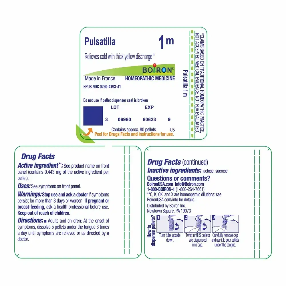 Product image for Pulsatilla 1m.