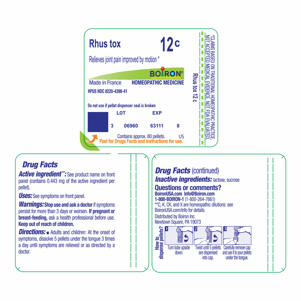 Product image for Rhus Toxicodendron 12c.
