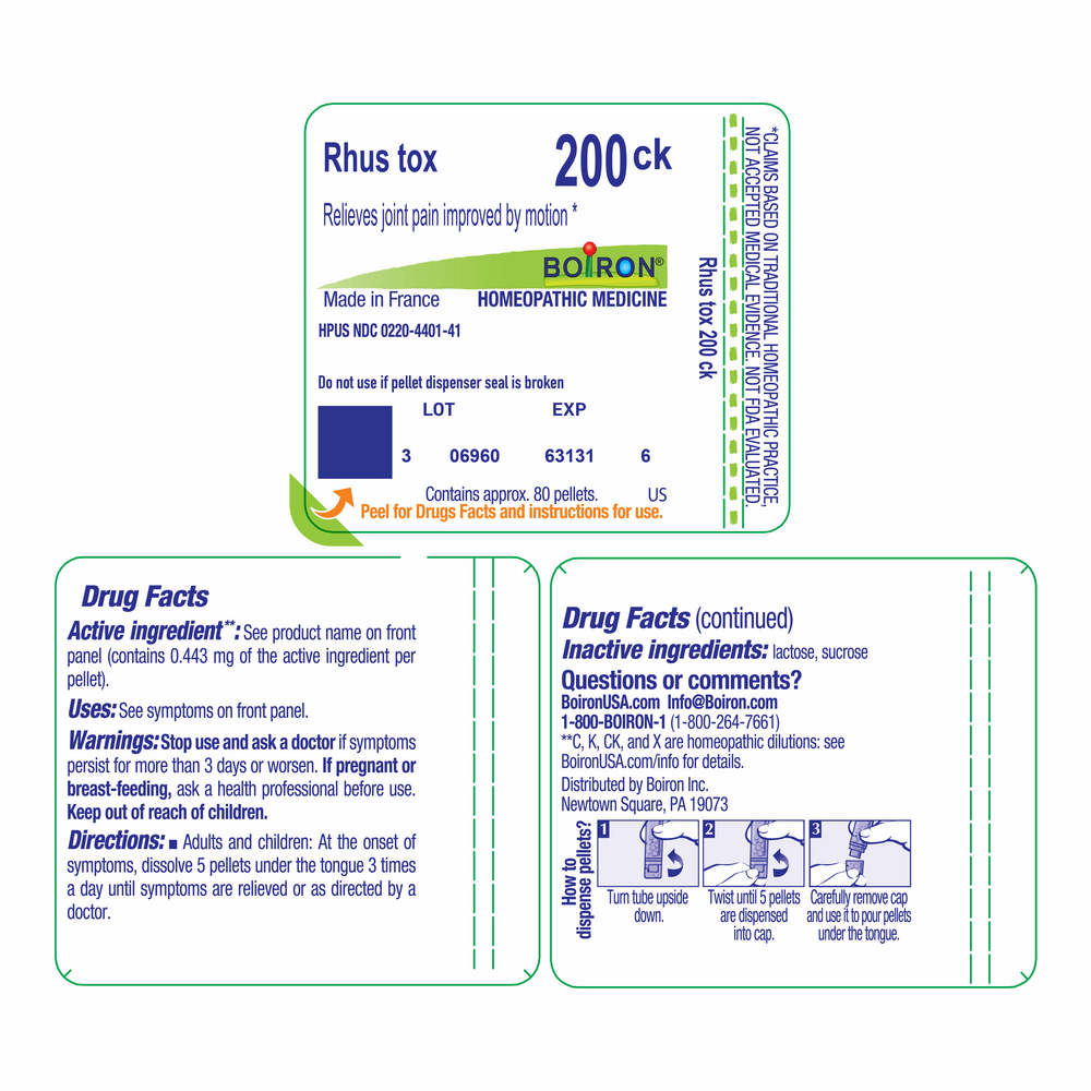 Product image for Rhus Toxicodendron 200ck.