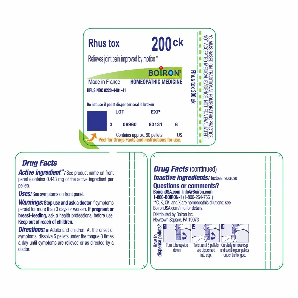 Product image for Rhus Toxicodendron 200ck.