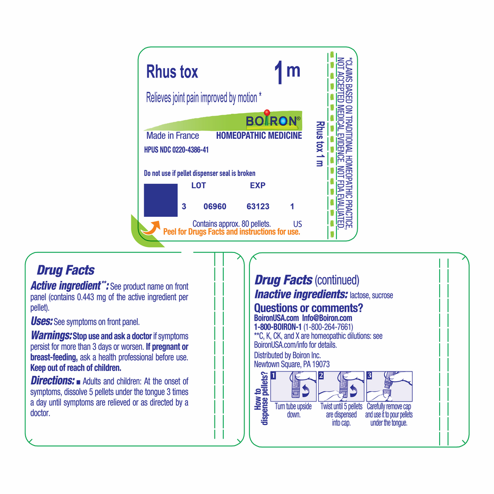 Product image for Rhus Toxicodendron 1m.