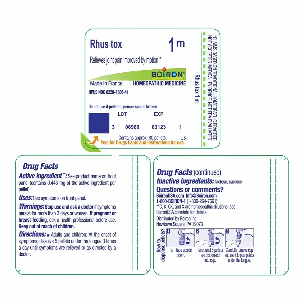 Product image for Rhus Toxicodendron 1m.