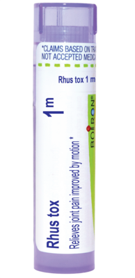 Rhus Toxicodendron 1m 80 pellets