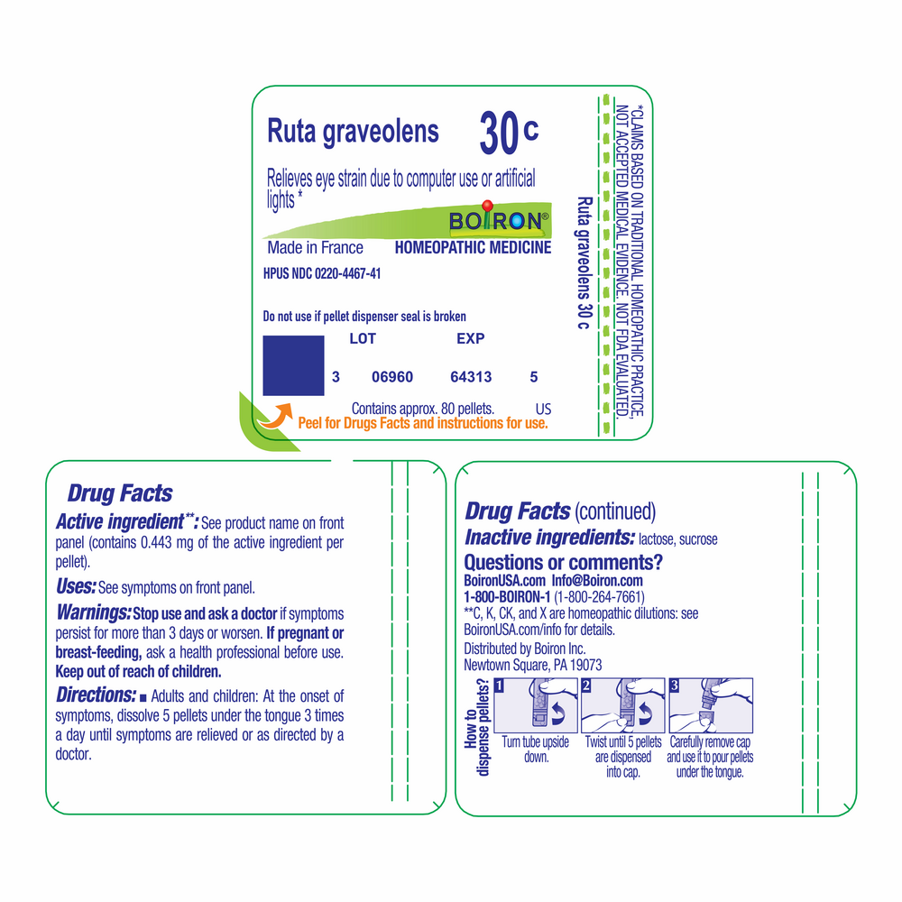 Product image for Ruta Graveolens 30c.