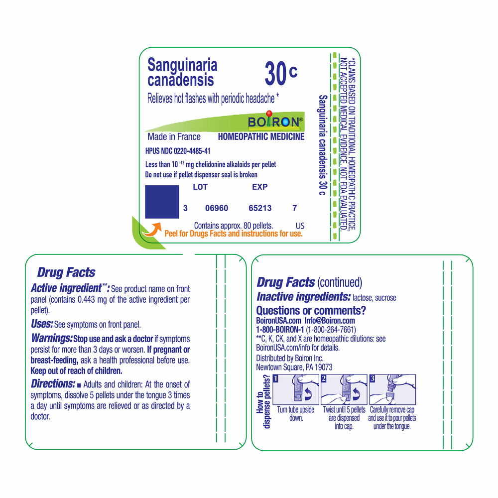 Product image for Sanguinaria Canadensis 30c.